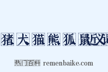 猪、犬、猫、熊、狐、鼠近义词是什么意思的图片